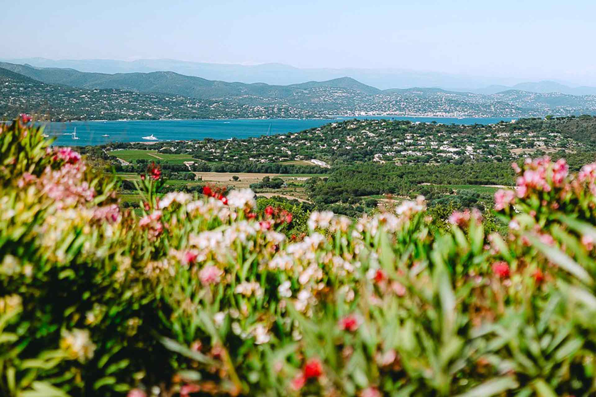 Visiter la route des vins